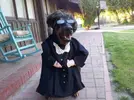 2085c882917e577c331db0727356b30d.webp