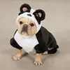 panda.webp