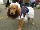 1349993445-10.webp