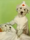 hello-you-L-Zv64o1.webp