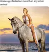 Facts - Horses.webp