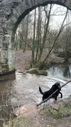 IMG-20250306-WA0001.webp