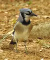 DSCN2957.webp