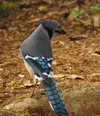 DSCN2964.webp