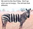 1745163163292.webp