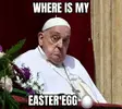 1745176231107.webp