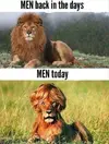 Men.webp