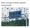 1745648850030.webp