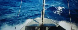 Sea1.webp
