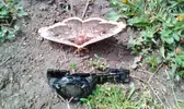 Lenovo_A1000_IMG_20170430_111822.webp