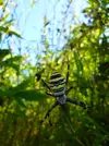 P1040420.webp