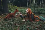 redfox.webp