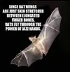 1746114385734.webp