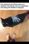 1746199529331.webp