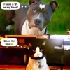 FB_IMG_1746265714806.webp