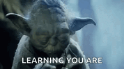 IMG_5571.gif