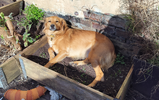 1000073350.webp