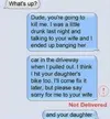 Chat 12.webp