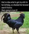 1747412812274.webp