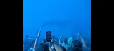 1000029078.webp