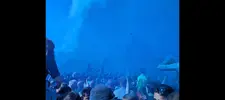 1000029076.webp