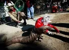 dog_costumes8.webp