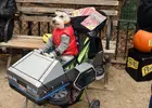 halloween-dog-costumes.webp