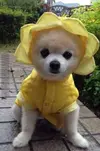 38bdf3c41163be64ff05af3c70810b7f.webp