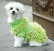 crazy_green_dog_sweater_medium.webp