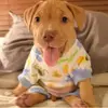 1453272316285.webp