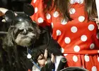 fancy-dress-dogs-parade-halloween-costumes2.webp