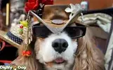 images.webp