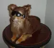 37461.webp