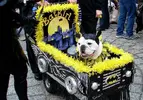 20140219Barkus.webp