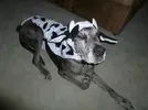 e06924666b35f126d83bfd16696c8351.webp