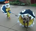 epic-halloween-costumes-ever-8.webp