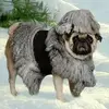 images.webp