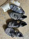 20250527_101651.webp