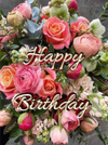 IMG_1726.webp