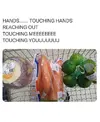 FB_IMG_1748707747171.webp