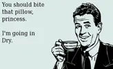 Bite the Pillow 1.webp