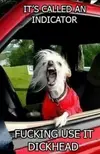Road Rage.webp