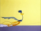 IMG_3216.gif