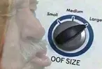 1749419983032.webp