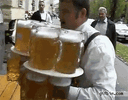 51391.gif
