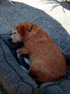 20250517_171218.webp