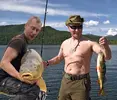 hibbo_vlad.webp