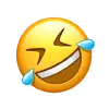 1750692240934.webp