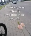 1750711678117.webp