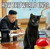 1750868189783.webp